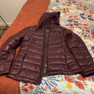 Purple Calvin Klein puffer jacket with hood